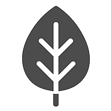 Default Icon
